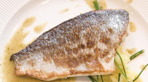 Sous Vide Zander mit ZitronenbutterZander Verbeneoel Frankbuchholz Fotolia 30865040